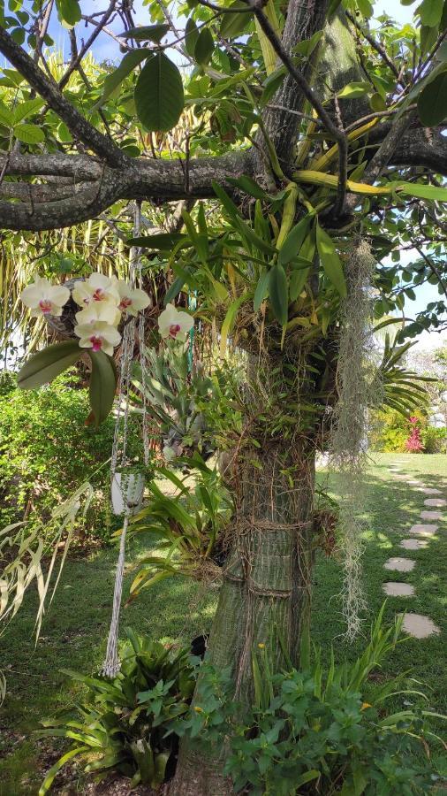 Villa Titemarina Le Gosier  Luaran gambar