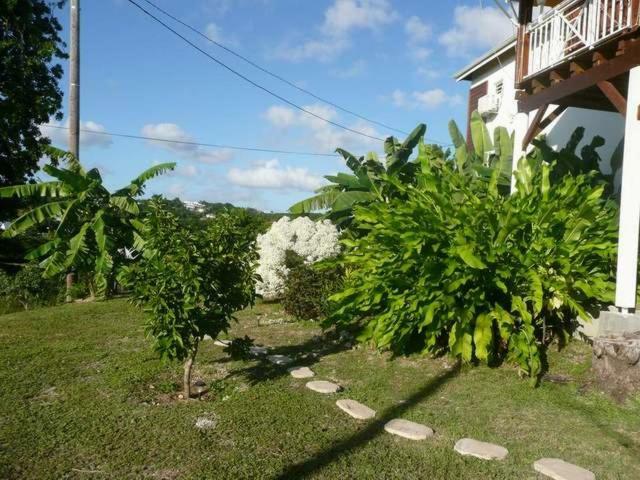 Villa Titemarina Le Gosier  Luaran gambar