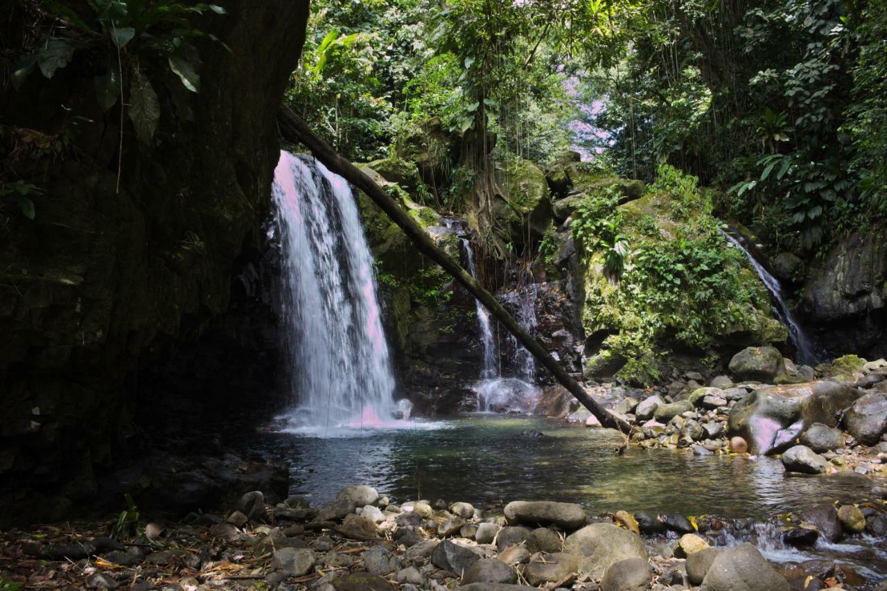 Villa Titemarina Le Gosier  Luaran gambar